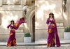 Elizabeth By Kreshva Spanish Satin Occasion Wear Saree Wholesale Online